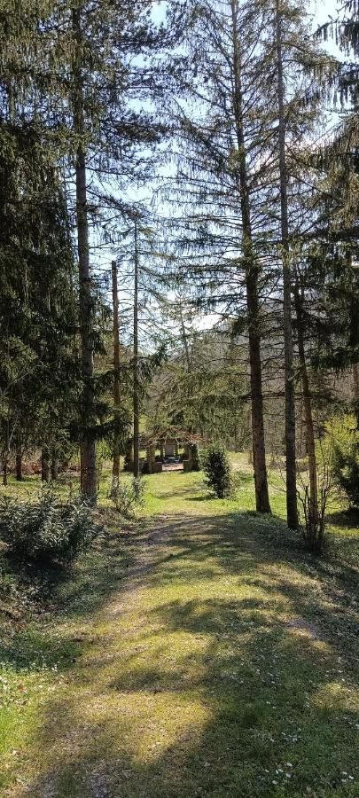 MombaroccioCasale La Pineta公寓 外观 照片