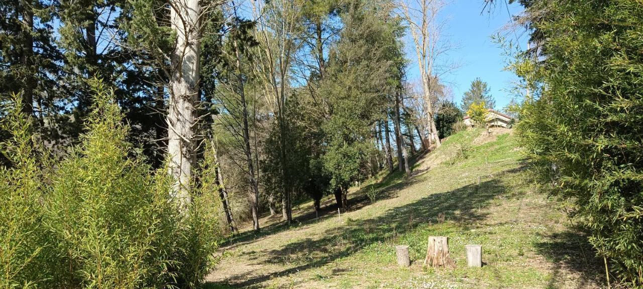 MombaroccioCasale La Pineta公寓 外观 照片